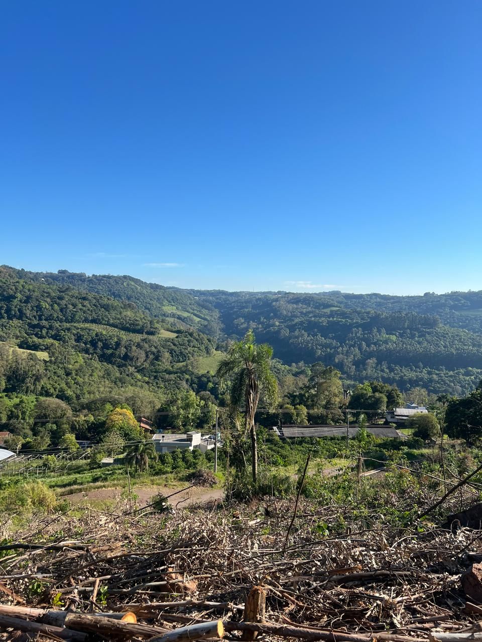 Fazenda para venda no bairro  em Farroupilha