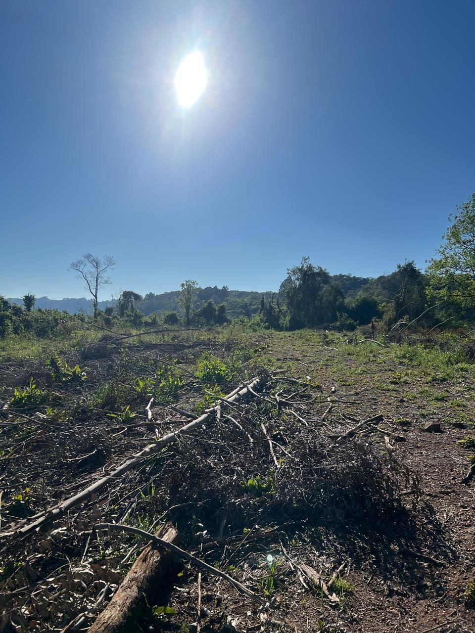 Fazenda para venda no bairro  em Farroupilha