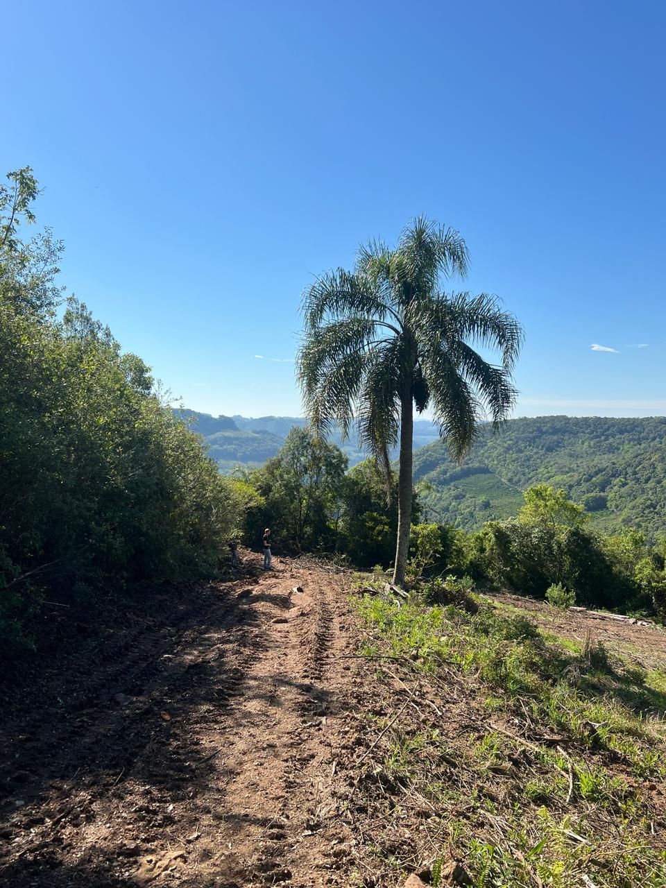 Fazenda para venda no bairro  em Farroupilha