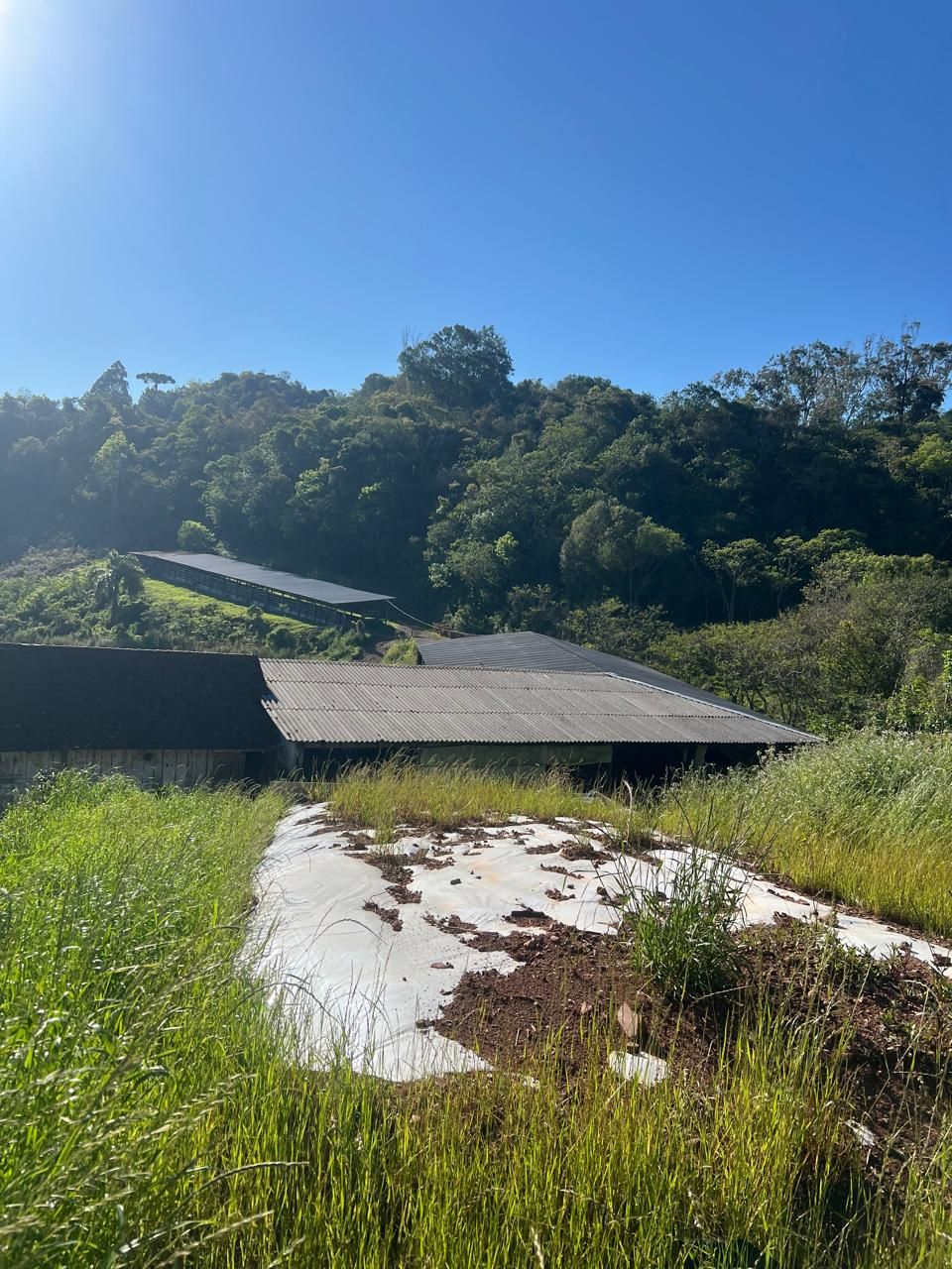 Fazenda para venda no bairro  em Farroupilha