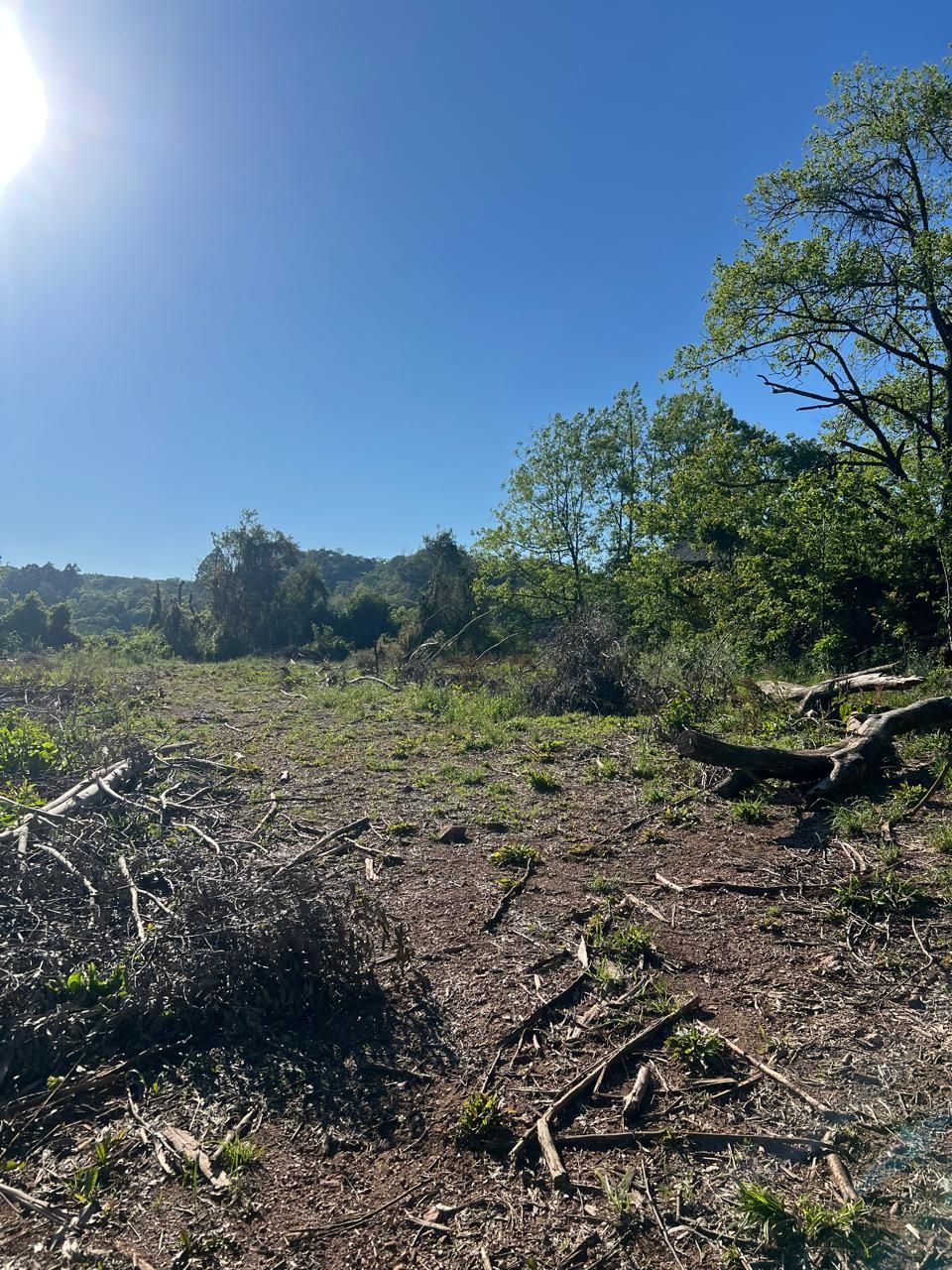 Fazenda para venda no bairro  em Farroupilha