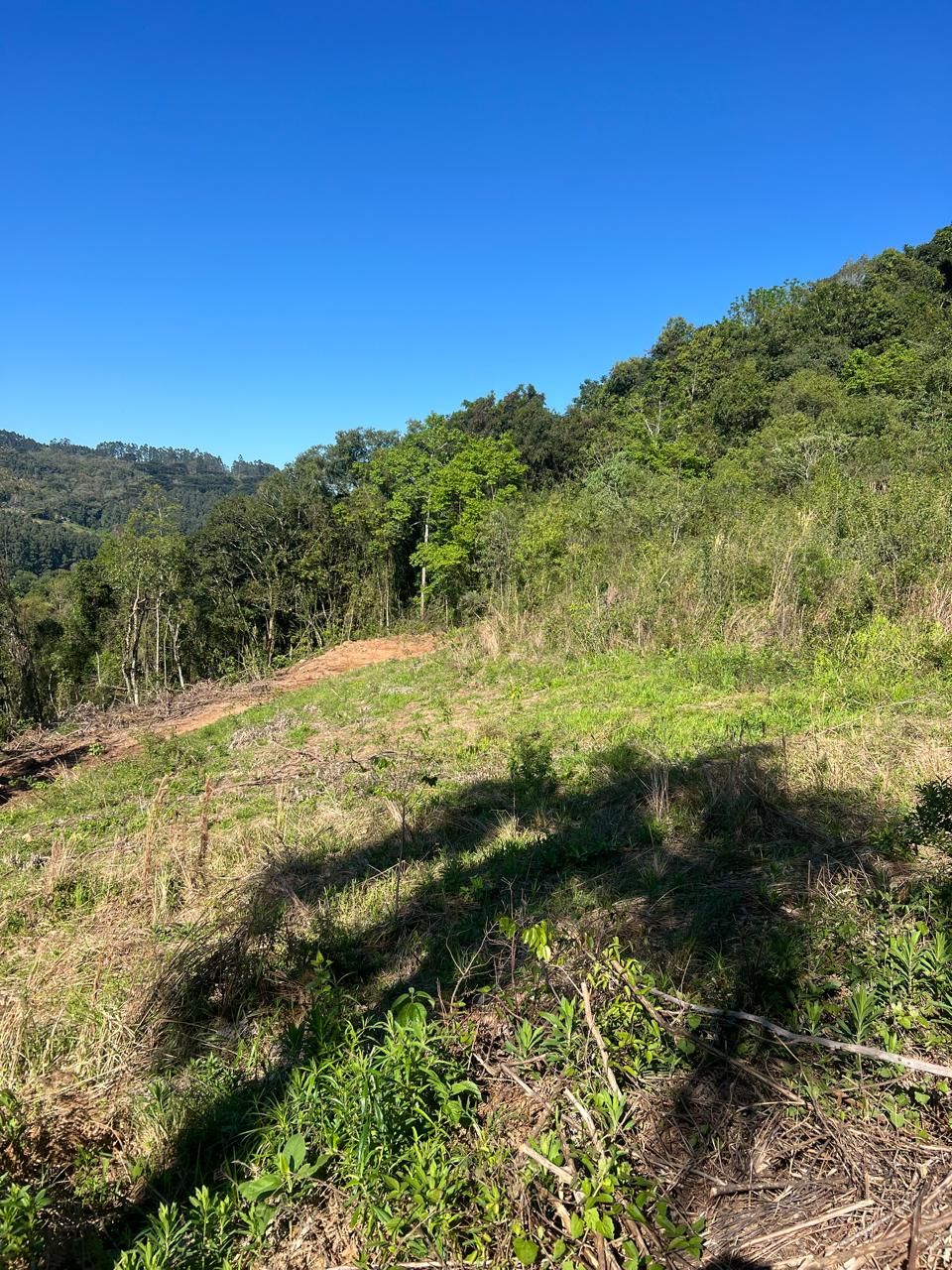 Fazenda para venda no bairro  em Farroupilha