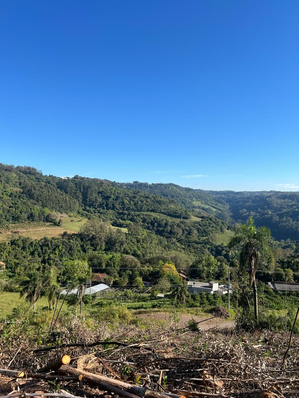 Fazenda para venda no bairro  em Farroupilha