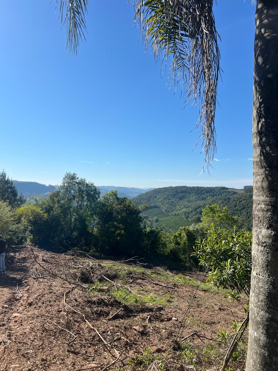 Fazenda para venda no bairro  em Farroupilha