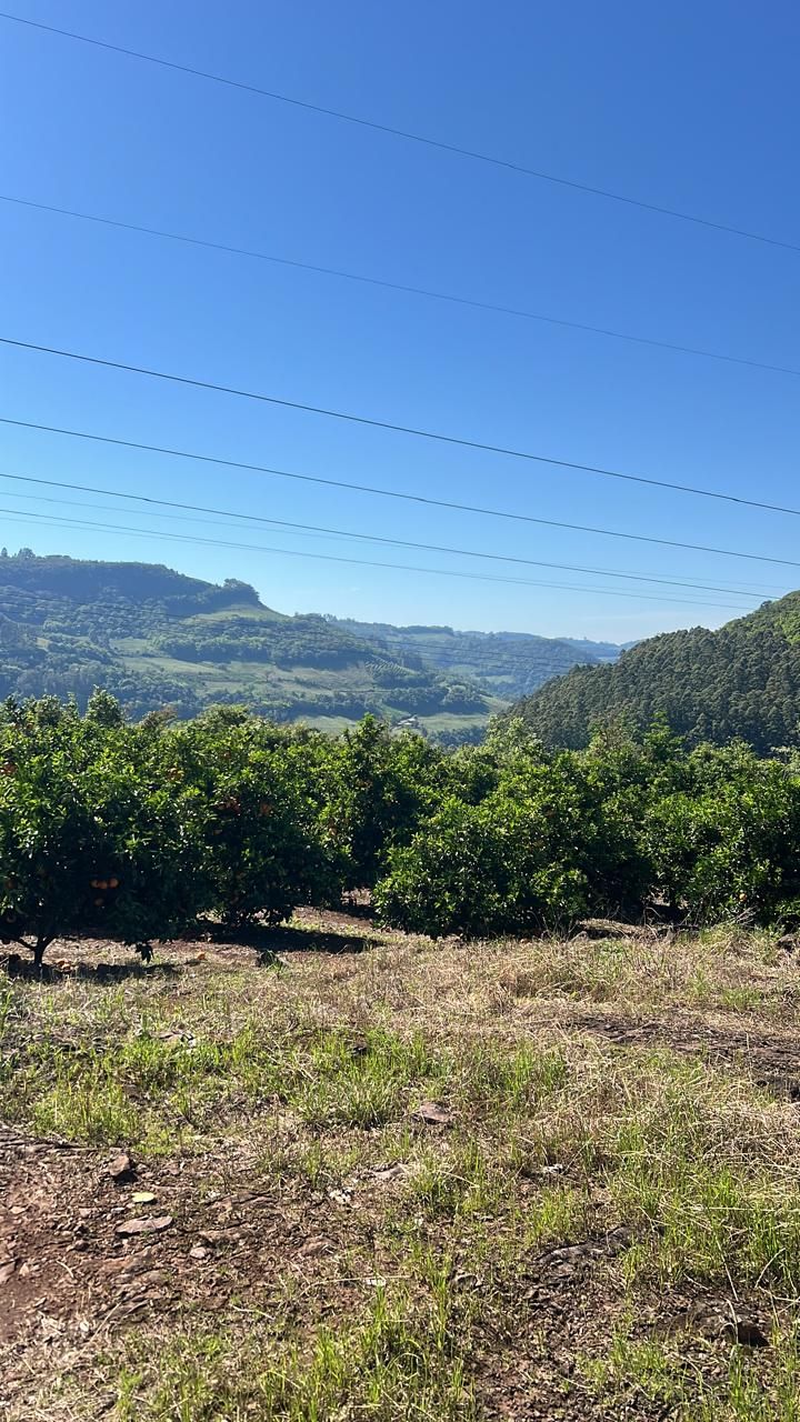 Fazenda para venda no bairro  em Farroupilha
