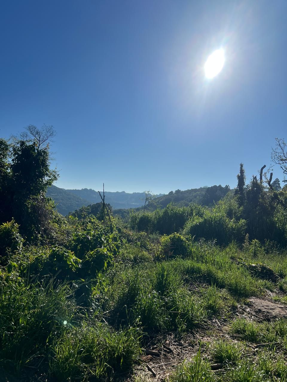 Fazenda para venda no bairro  em Farroupilha