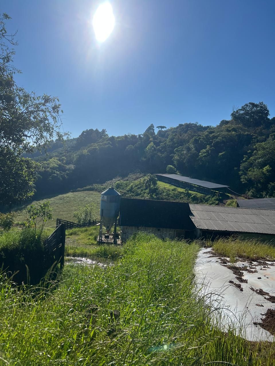 Fazenda para venda no bairro  em Farroupilha