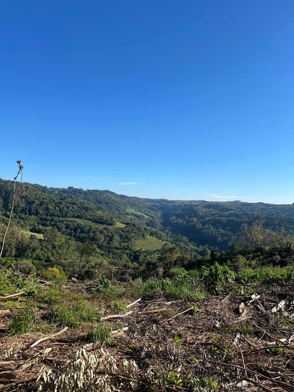 Fazenda para venda no bairro  em Farroupilha