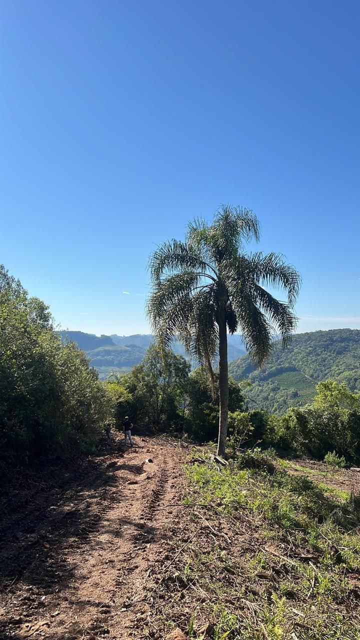 Fazenda para venda no bairro  em Farroupilha