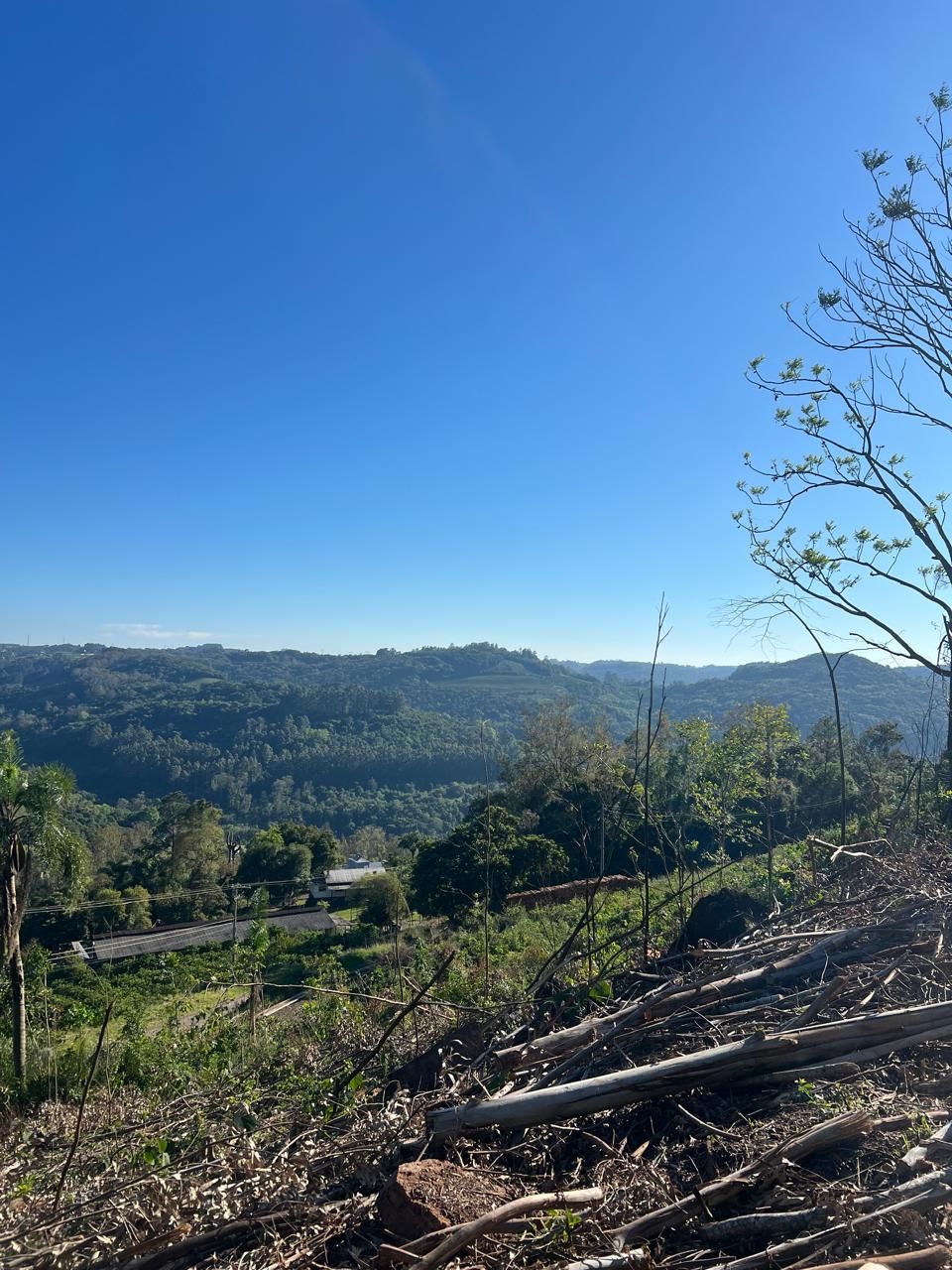 Fazenda para venda no bairro  em Farroupilha