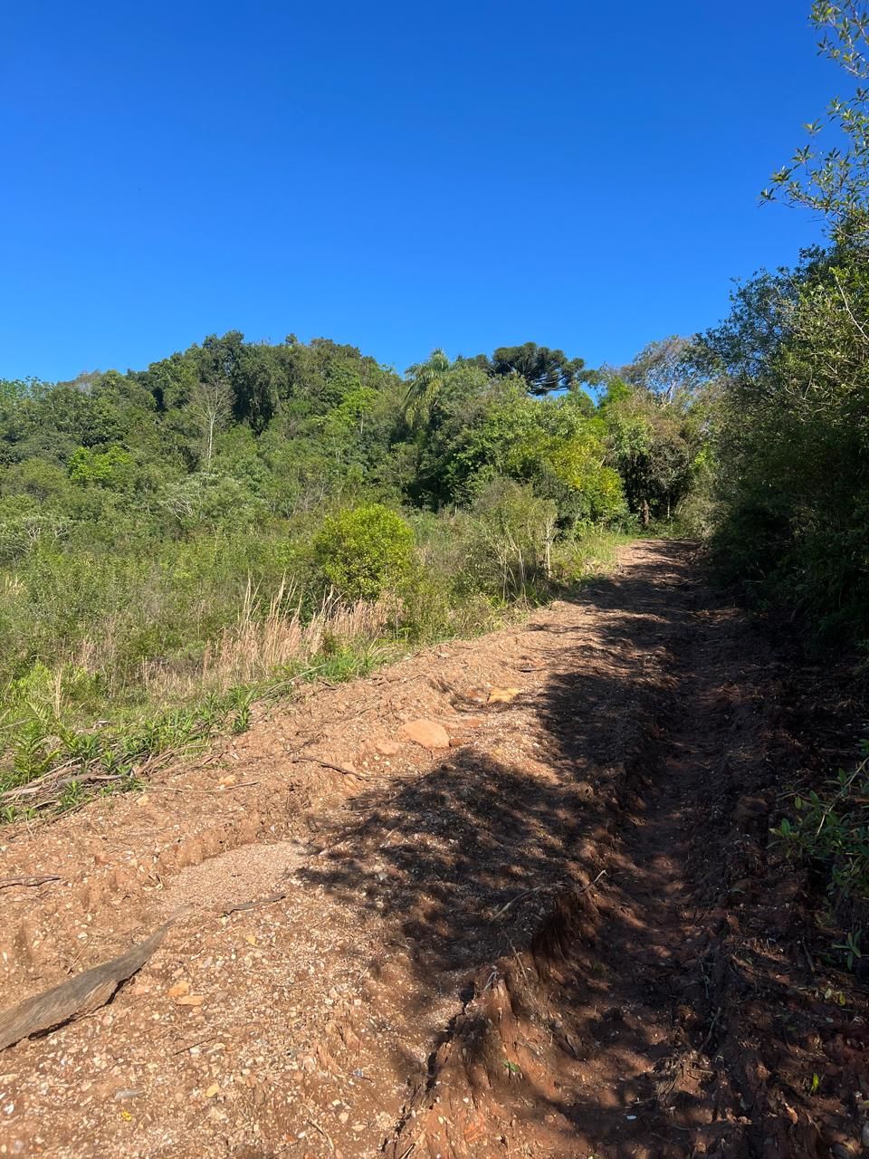 Fazenda para venda no bairro  em Farroupilha