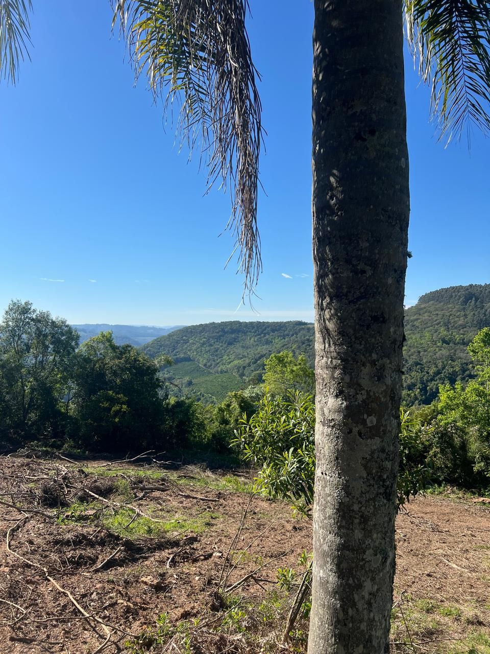 Fazenda para venda no bairro  em Farroupilha