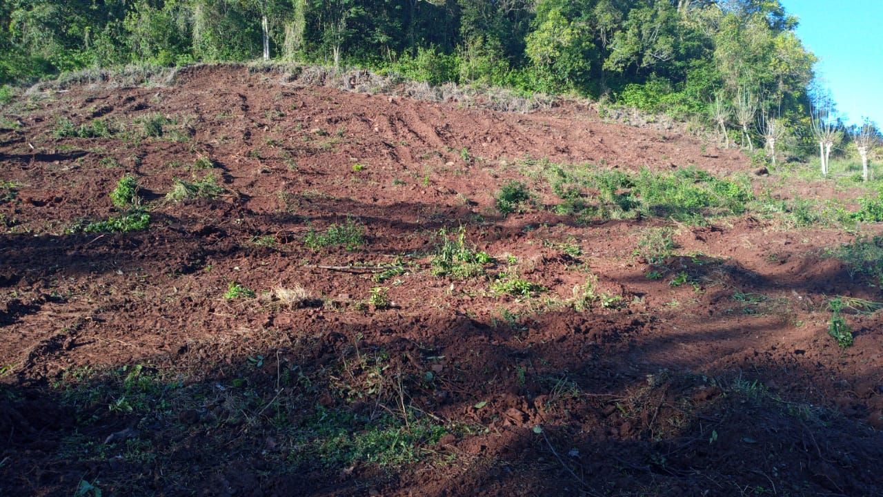Chácara para venda no bairro Faria Lemos em Bento Gonçalves