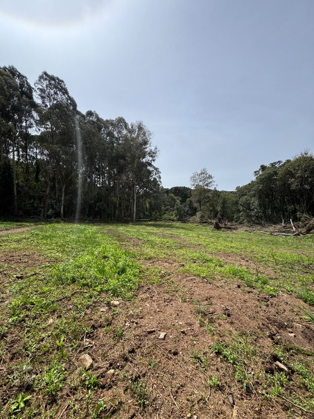 Chácara para venda no bairro Fazenda Souza em Caxias do Sul