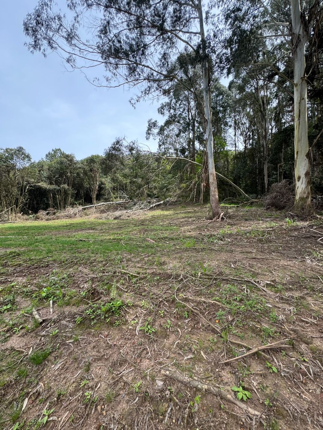 Chácara para venda no bairro Fazenda Souza em Caxias do Sul