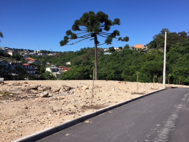 Lote para venda no bairro Santa Marta em Bento Gonçalves