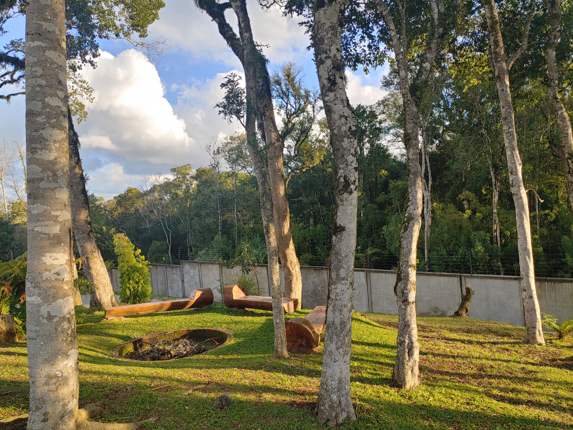 Lote para venda no bairro Pedancino em Caxias do Sul