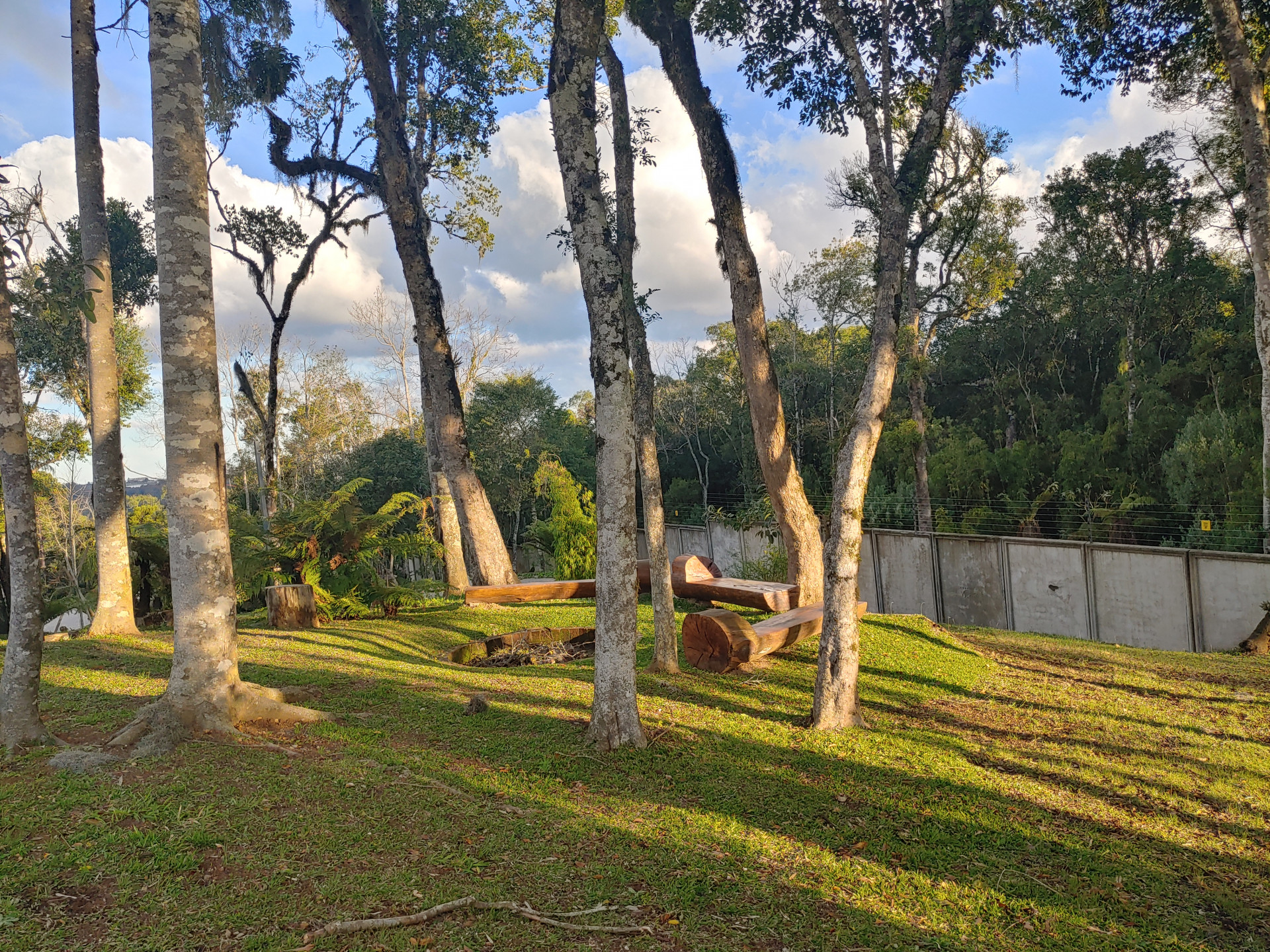 Lote para venda no bairro Pedancino em Caxias do Sul
