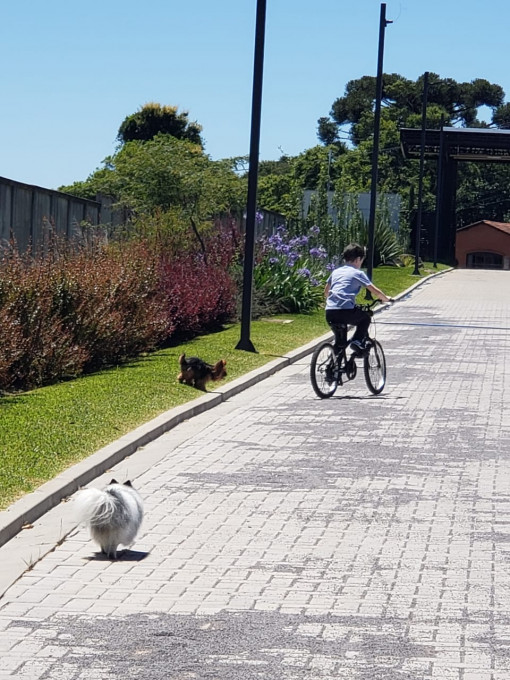 Lote para venda no bairro Pedancino em Caxias do Sul