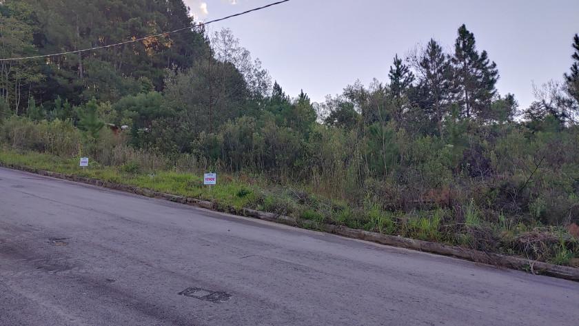 Lote para venda no bairro São Virgílio  em Caxias do Sul