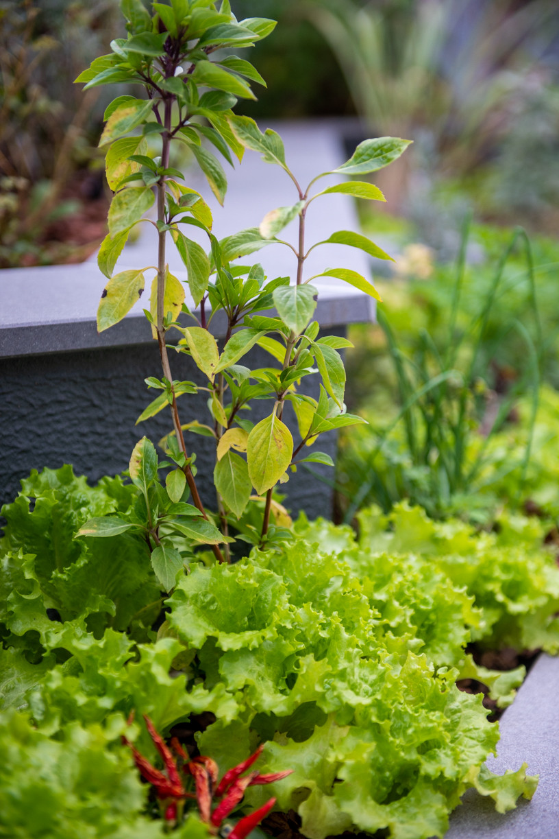 Apartamento 2 quartos para venda no bairro Centro em Caxias do Sul