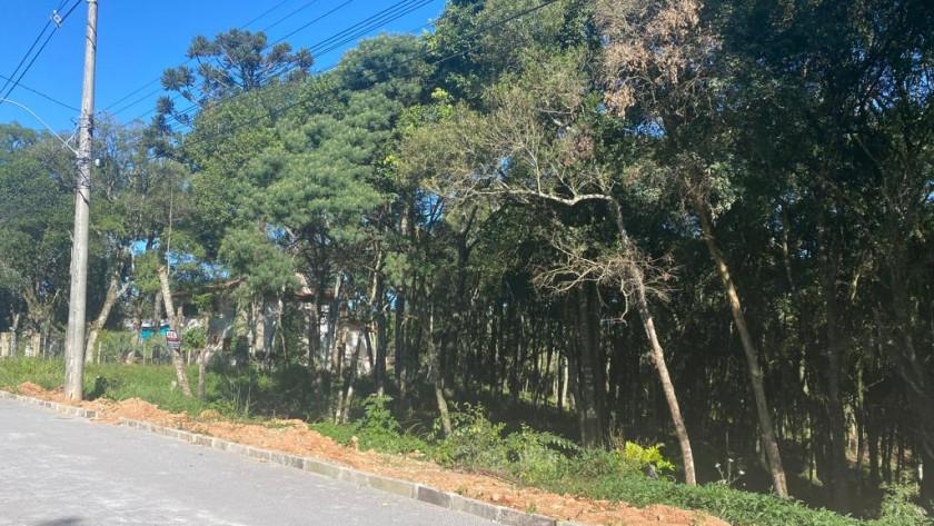 Lote para venda no bairro Mariland em Caxias do Sul