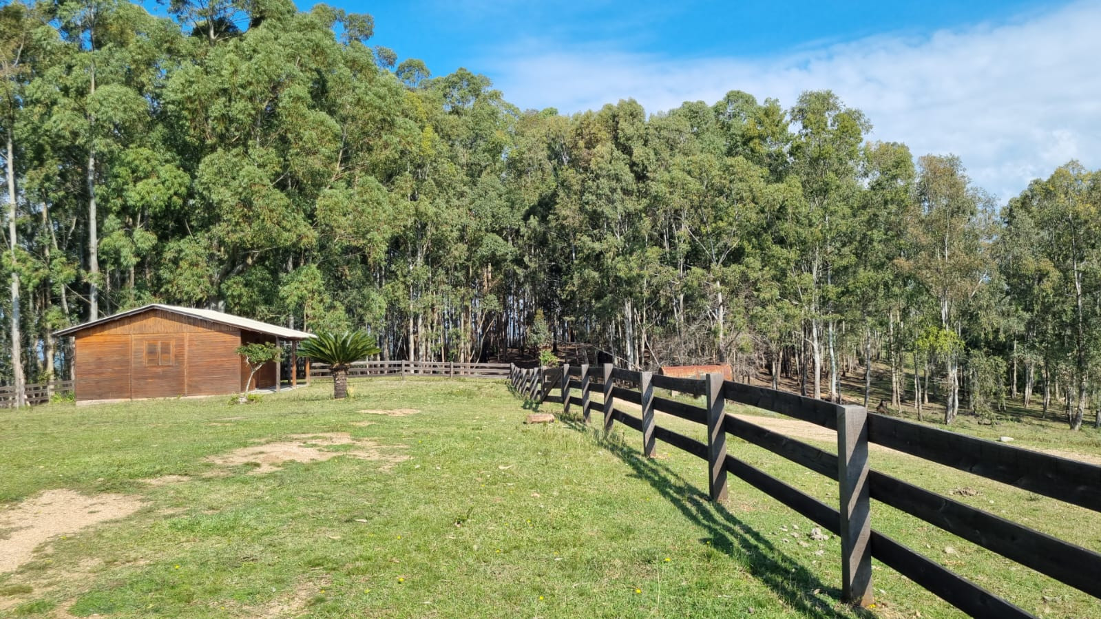 Fazenda à venda com 3 quartos, 3260000m² - Foto 10