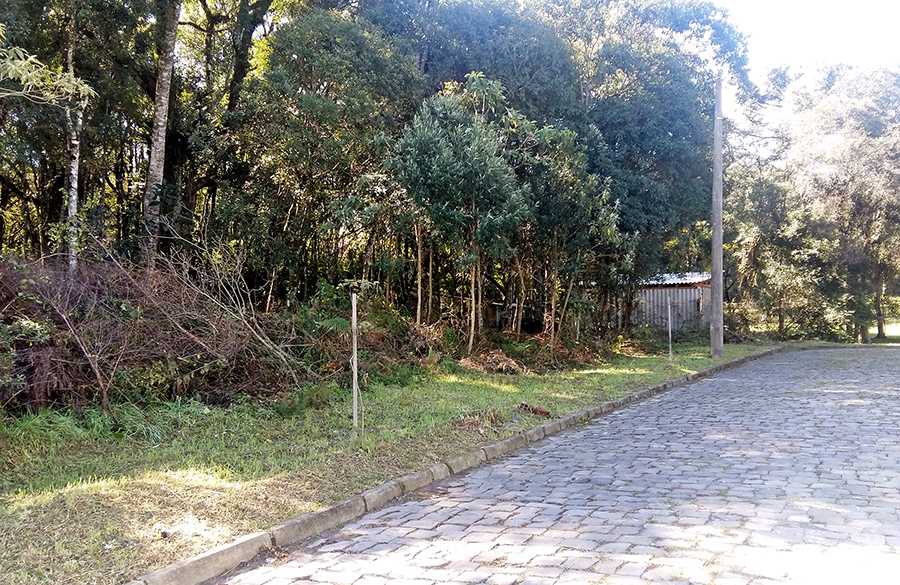 Terreno para venda no bairro São Virgílio  em Caxias do Sul